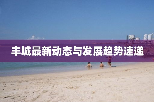 丰城最新动态与发展趋势速递