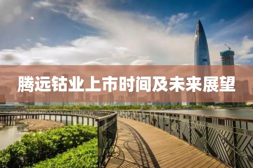 腾远钴业上市时间及未来展望