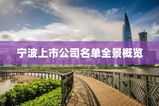 宁波上市公司名单全景概览
