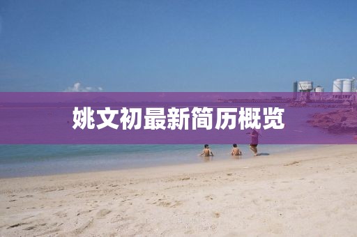 姚文初最新简历概览