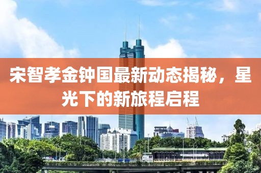 宋智孝金钟国最新动态揭秘，星光下的新旅程启程