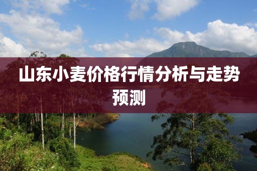 山东小麦价格行情分析与走势预测