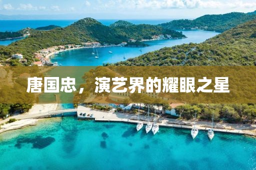 唐国忠，演艺界的耀眼之星