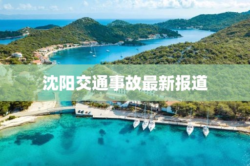 沈阳交通事故最新报道