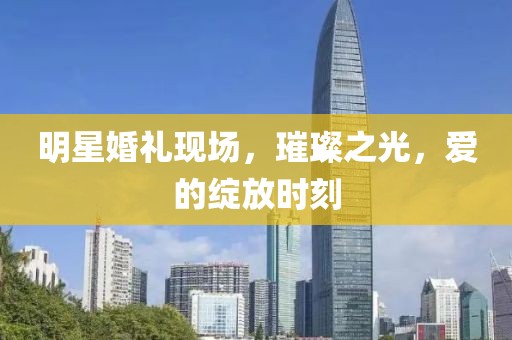 明星婚礼现场，璀璨之光，爱的绽放时刻
