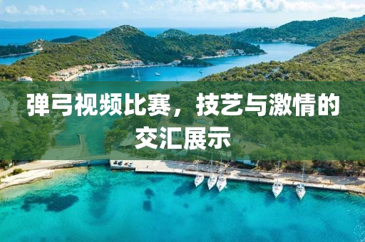 弹弓视频比赛，技艺与激情的交汇展示