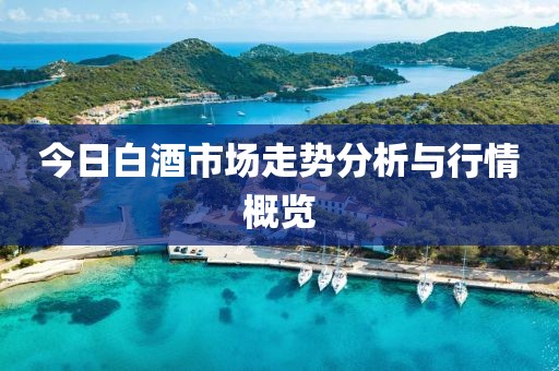 今日白酒市场走势分析与行情概览
