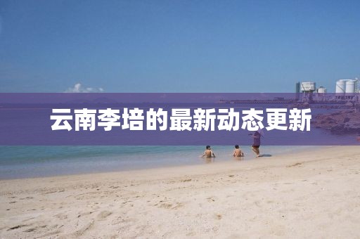 云南李培的最新动态更新