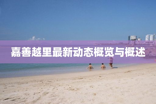 嘉善越里最新动态概览与概述