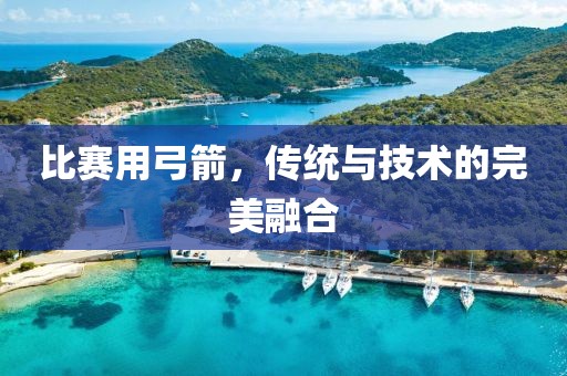 比赛用弓箭，传统与技术的完美融合