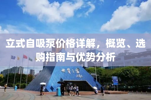 立式自吸泵价格详解，概览、选购指南与优势分析
