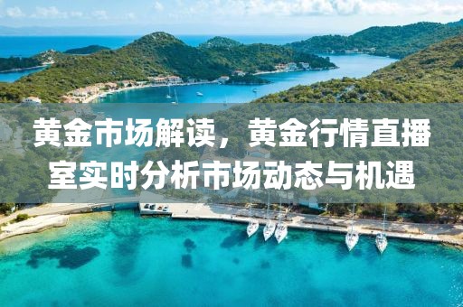 黄金市场解读，黄金行情直播室实时分析市场动态与机遇