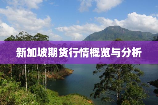 新加坡期货行情概览与分析
