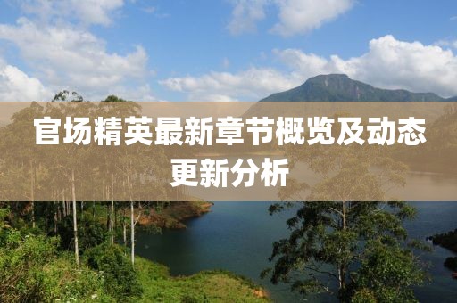 官场精英最新章节概览及动态更新分析