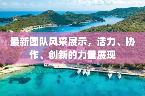 最新团队风采展示，活力、协作、创新的力量展现