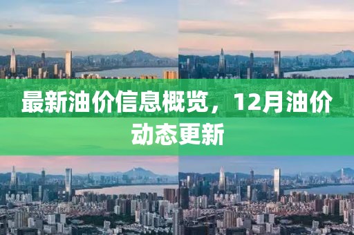 最新油价信息概览，12月油价动态更新