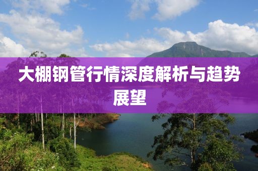 大棚钢管行情深度解析与趋势展望