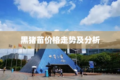 黑猪苗价格走势及分析