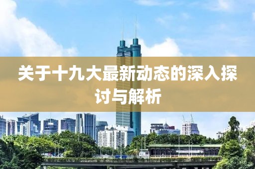 关于十九大最新动态的深入探讨与解析