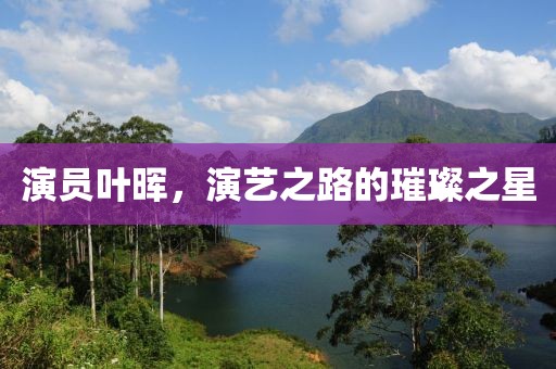演员叶晖，演艺之路的璀璨之星