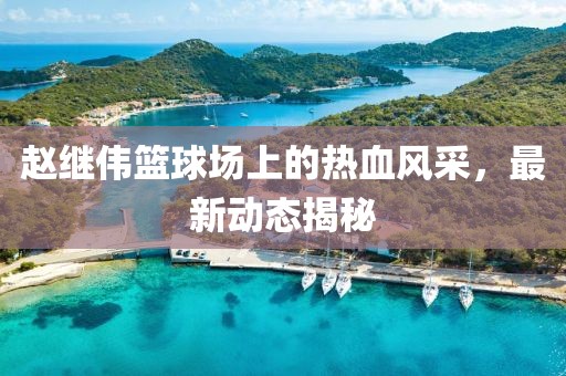 赵继伟篮球场上的热血风采，最新动态揭秘