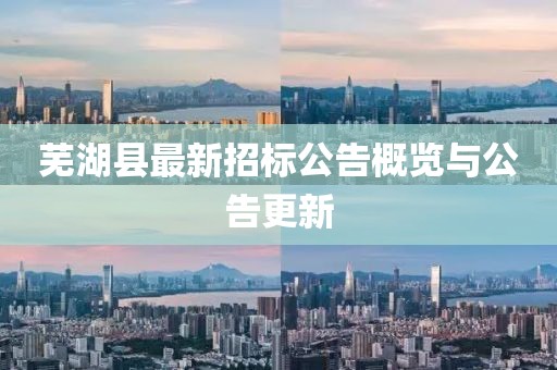 芜湖县最新招标公告概览与公告更新