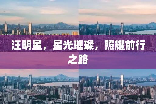 汪明星，星光璀璨，照耀前行之路