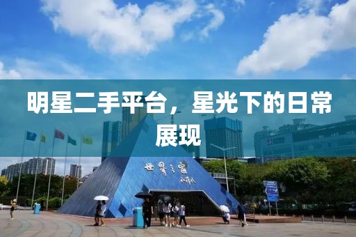 明星二手平台，星光下的日常展现