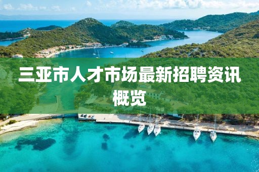 三亚市人才市场最新招聘资讯概览