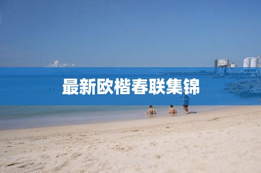最新欧楷春联集锦