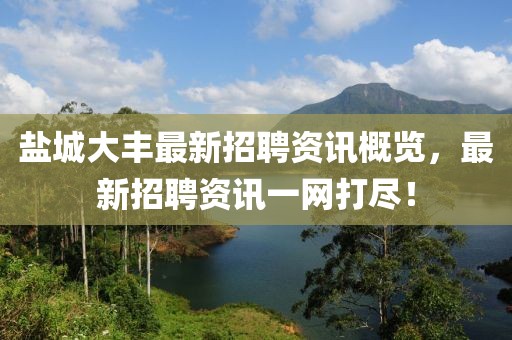 盐城大丰最新招聘资讯概览，最新招聘资讯一网打尽！