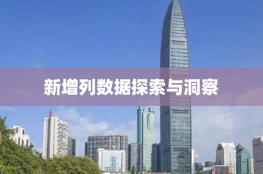 新增列数据探索与洞察