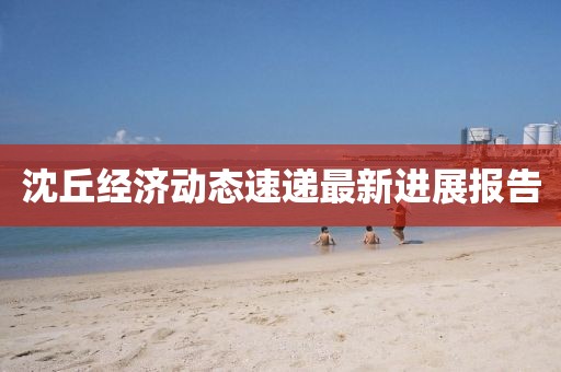 沈丘经济动态速递最新进展报告