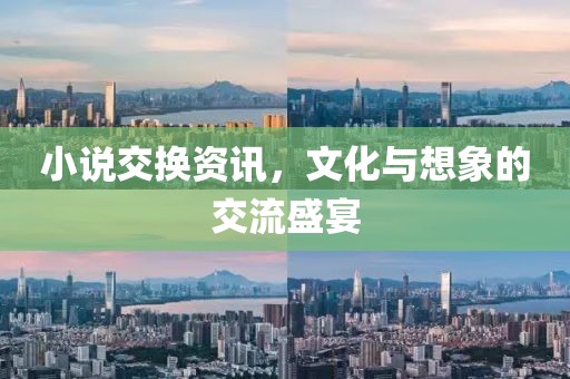 小说交换资讯，文化与想象的交流盛宴