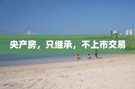 央产房，只继承，不上市交易