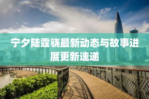 宁夕陆霆骁最新动态与故事进展更新速递