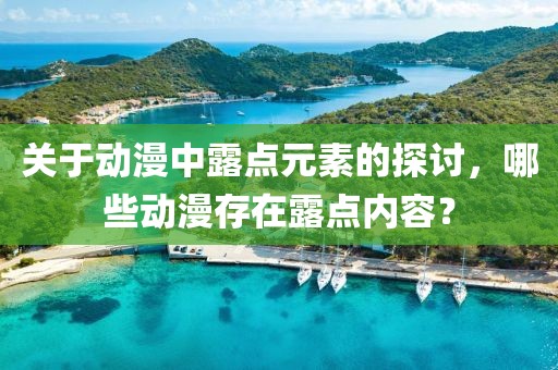 关于动漫中露点元素的探讨，哪些动漫存在露点内容？