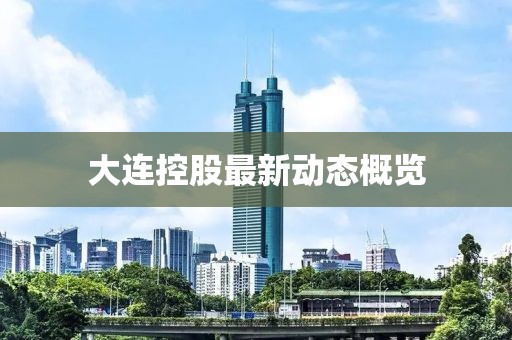 大连控股最新动态概览