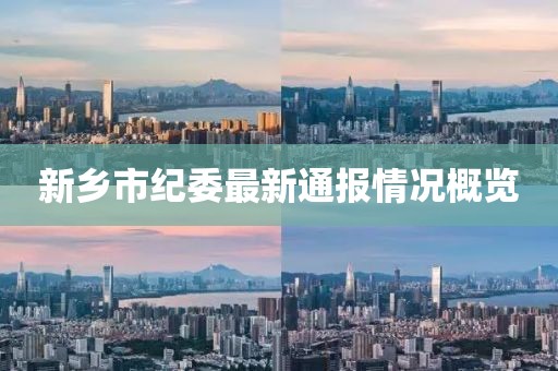 新乡市纪委最新通报情况概览