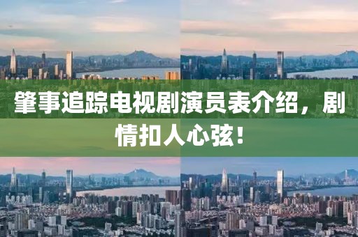 肇事追踪电视剧演员表介绍，剧情扣人心弦！