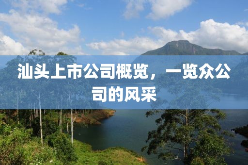 汕头上市公司概览，一览众公司的风采