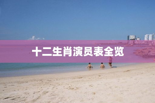十二生肖演员表全览