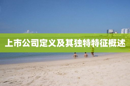 上市公司定义及其独特特征概述