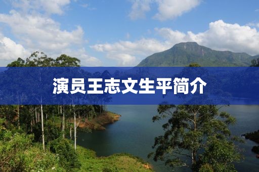 演员王志文生平简介