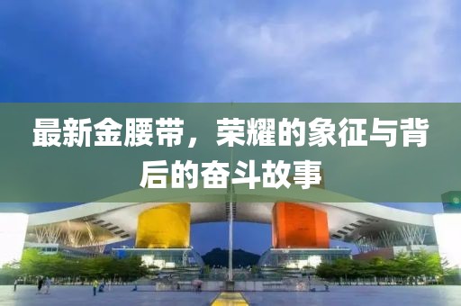最新金腰带，荣耀的象征与背后的奋斗故事