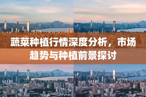 蔬菜种植行情深度分析，市场趋势与种植前景探讨