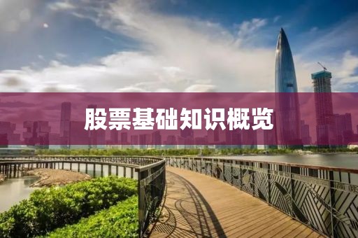 股票基础知识概览