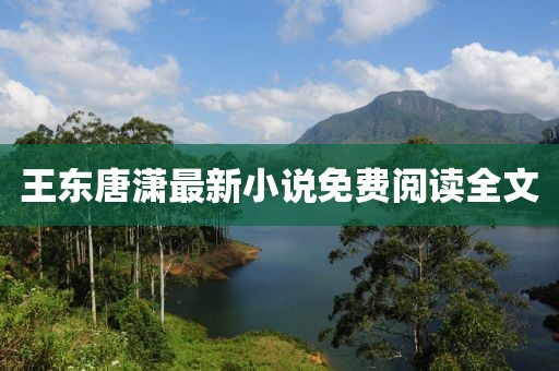 王东唐潇最新小说免费阅读全文