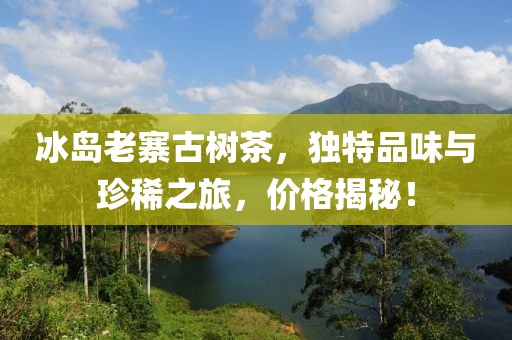 冰岛老寨古树茶，独特品味与珍稀之旅，价格揭秘！