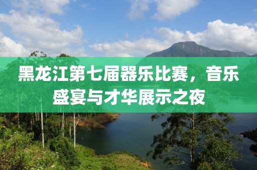 黑龙江第七届器乐比赛，音乐盛宴与才华展示之夜